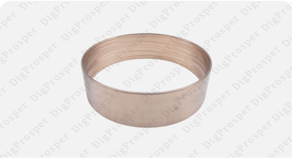 Bushing 5580018152