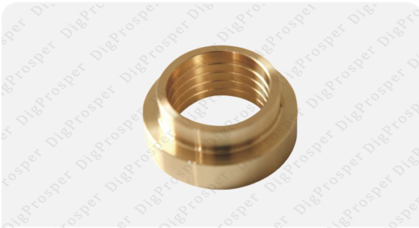 Piston Guide 3115167100