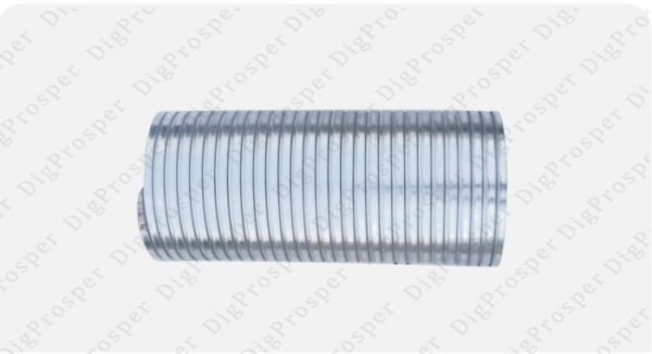 Flexible Hose 5580004870