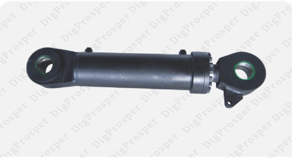 Hydraulic Cylinder 5580101461