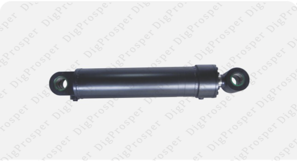 Hydraulic Cylinder 5580017565